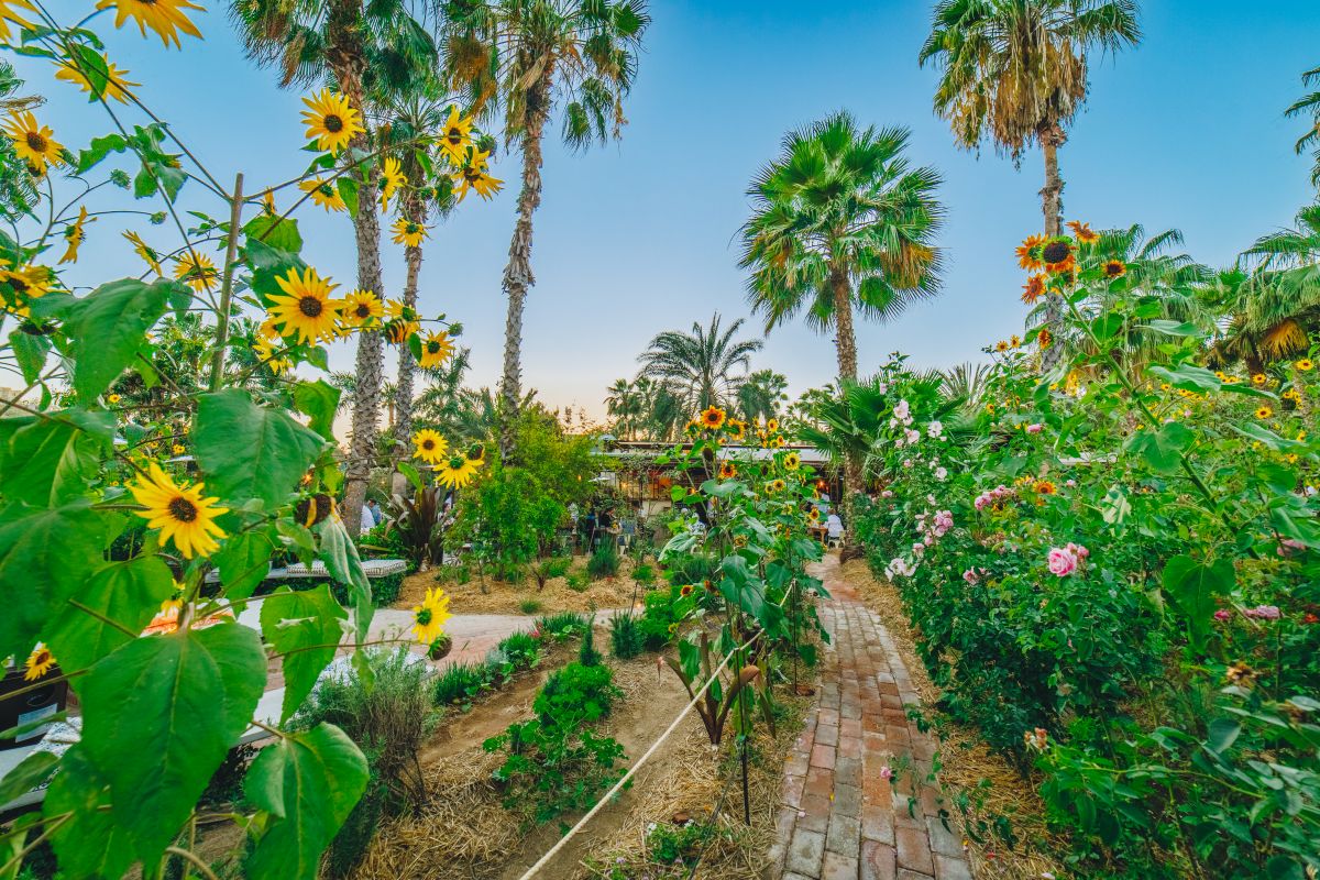 Gardens at Flora Farms.jpg